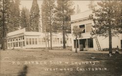 P.O. Barber Shop & Laundry, Westwood, CA Postcard