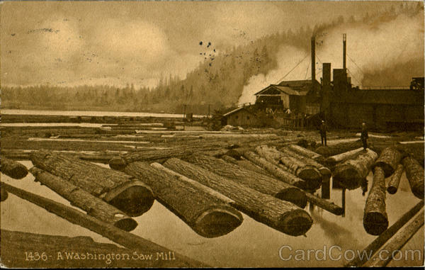 A Washington Saw Mill Scenic