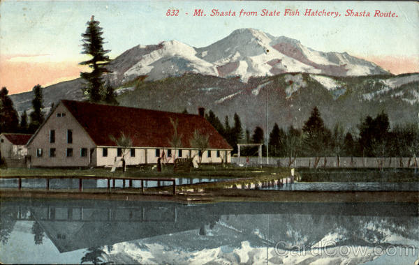 Mt. Shasta From State Fish Hatchery Mount Shasta California