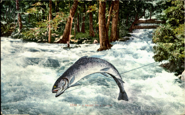 A Fight To A Finish Scenic California