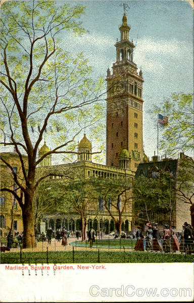 Madison Square Garden New York City