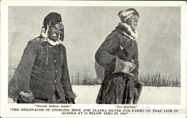 The Originator Of Sterling Mink And Alaska Silver Fox Farms