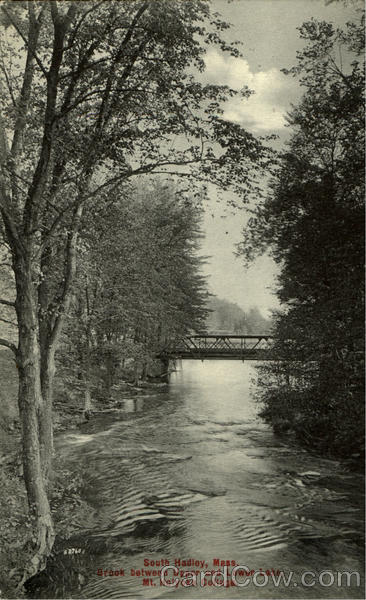 Brook Between Upper And Lower Lake, Mt. Holyoke College South Hadley Massachusetts