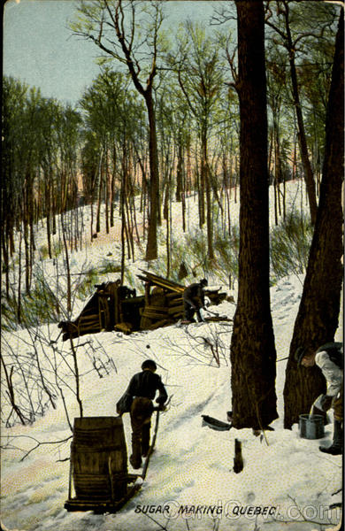 Sugar Making PQ Canada Quebec