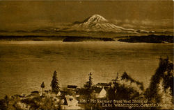 Mt. Rainier Postcard