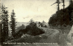 The Summit Near Big Basin, California RedWood Park Postcard