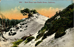 Sand Dunes Near Pacific Grove Postcard