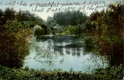 Chain Of Lakes, Golden Gate Park Postcard