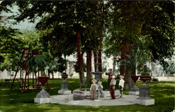 California Park Scene Postcard