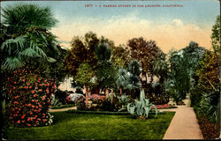 A Parked Street In Los Angeles Postcard