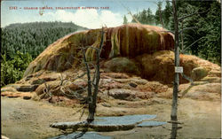Orange Geyser, Yellowstone National Park Postcard