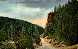 Obsidian Cliff, Yellowstone National Park Postcard