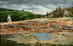 Coating Springs, Yellowstone National Park Postcard