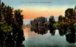 On The Shadowy St Joe River Scenic, ID Postcard Postcard