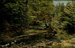 A Picturesque Scene Near Cochranton Pennsylvania Postcard Postcard