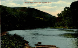 Beauty Spot Near Cape Vincent New York Postcard Postcard