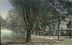 Along The Delaware River Bank Postcard