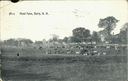 Hood Farm Derry, NH Postcard Postcard