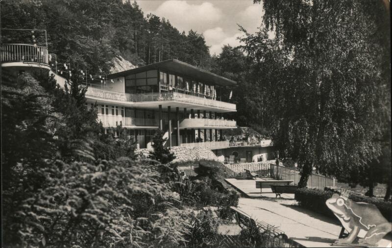 Trenčianske Teplice - Lesné termálne kúpalisko, Zelená žaba Slovakia