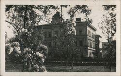 School in Rtyně v Podkrkonoší, Czechia Postcard