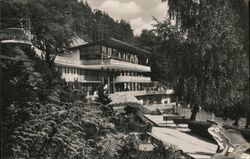 Trenčianske Teplice - Lesné termálne kúpalisko, "Zelená žaba" Postcard