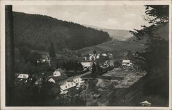 Vintage View of Svatá Sidonie, Byvala hut Postcard
