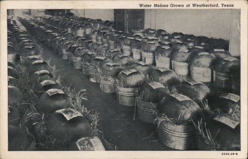Water Melons Grown at Weatherford, TX Texas