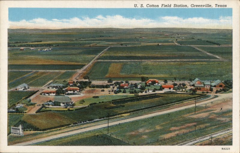U. S. Cotton Field Station, Greenville, TX Texas