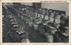 Water Melons Grown at Weatherford, TX Postcard