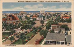 Bird's-Eye View, Galveston, TX Postcard