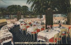 The Hurricane, New York's Smart Tropical Restaurant Postcard