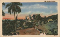 Cuban Landscape with Palm Trees and House Postcard