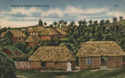 Bohios or Thatched Huts, Cuba Postcard