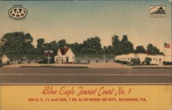 Blue Eagle Tourist Court No. 1, Roanoke, VA Postcard
