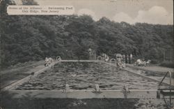 Alliance Swimming Pool, Oak Ridge, NJ Postcard