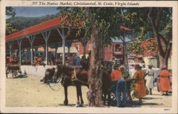 The Native Market, Christiansted, St. Croix Postcard
