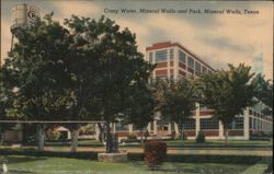 Crazy Water, Mineral Wells and Park Postcard