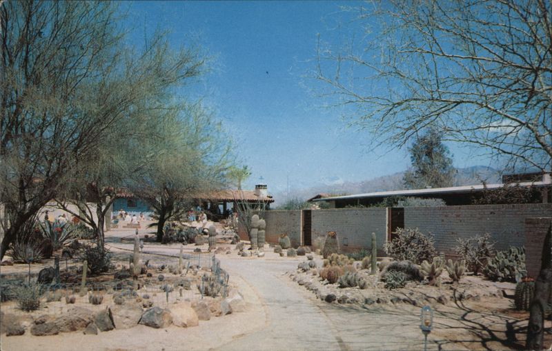 Ghost Ranch Lodge, Desert Landscaping, Tucson, AZ Arizona