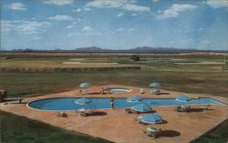 San Francisco Giants' Francisco Grande Motor Inn, Casa Grande Postcard