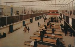 Streamlined Customs Facilities - New York International Airport Postcard