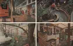 Village Fair Shops, Sausalito, California Postcard