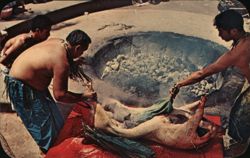 Hawaiian Luau Pig Preparation in Imu Postcard