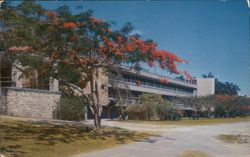 University of Miami, Coral Gables, Florida Postcard