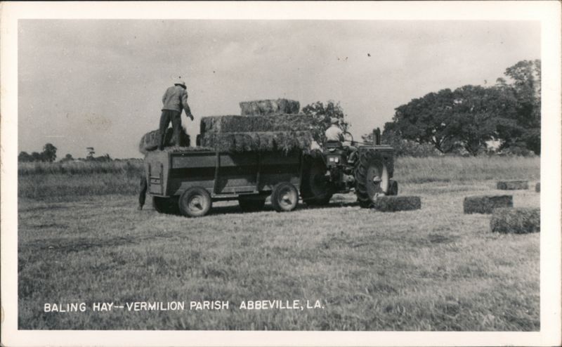 Baling Hay, Vermilion Parish, Abbeville, LA Louisiana
