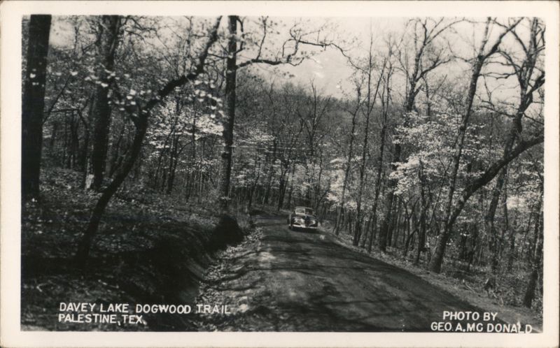 Davey Lake Dogwood Trail, Palestine, TX Texas Geo. A. Mc Donald