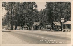 Cisco Grove Donner Summit, Sierra Gift Shop Postcard