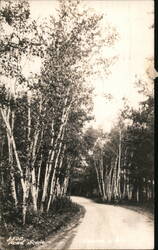 Road Scene, Laona, WI Postcard