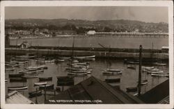 The Harbour, Paignton Postcard