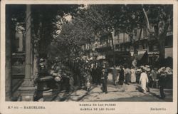 Rambla de las Flores, Barcelona Postcard