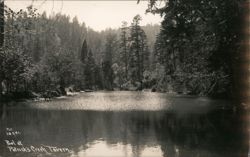 Pool at Patrick's Creek Tavern Postcard